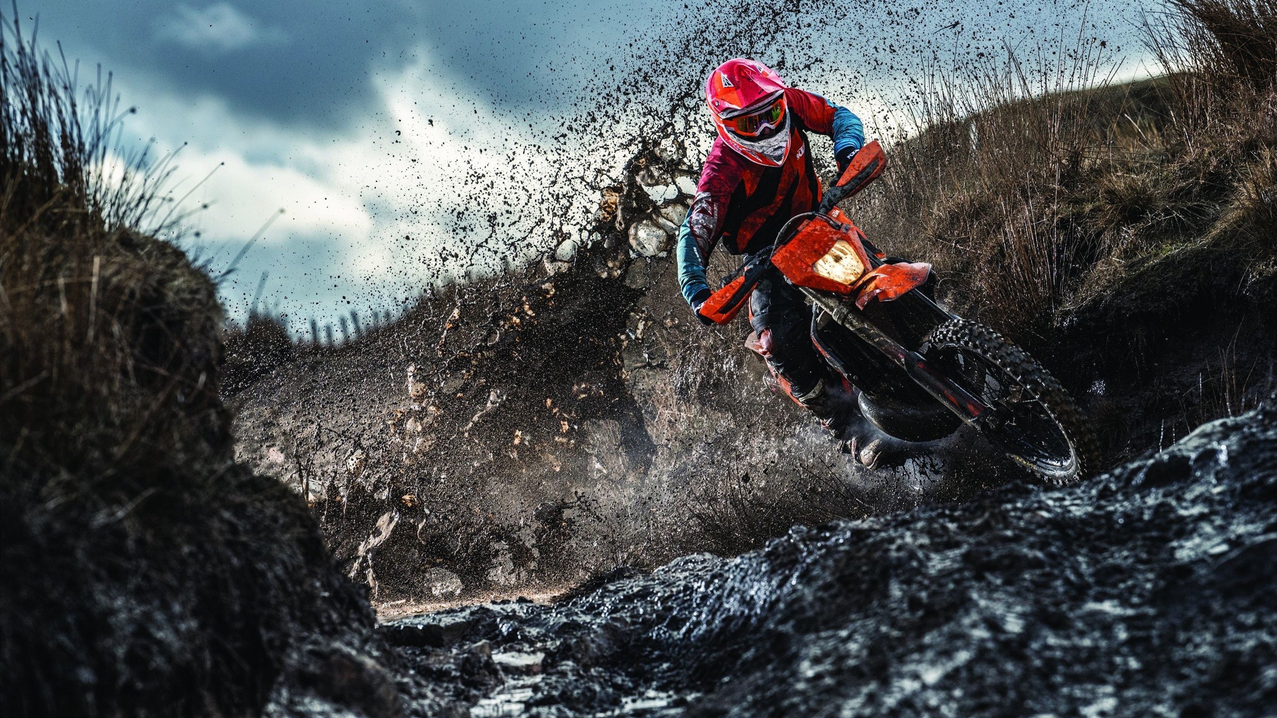 西决生死战之夜,保罗的救赎与时间的和解